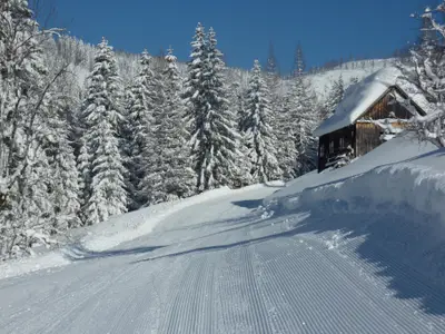 Pension Gewessler, Skiabfahrt nach Bad Mitterndorf