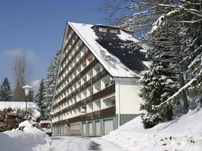 Ferienwohnung für 4 Personen (55 m²) in Bad Mitterndorf 3/10