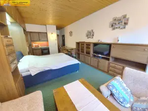 Ferienwohnung für 3 Personen (30 m²) in Bad Mitterndorf