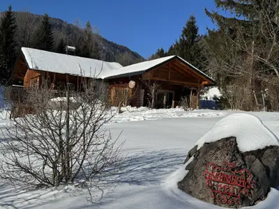 Die Wildrose im Winter