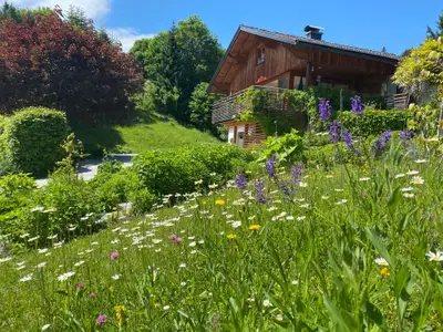 Bunt blühende Naturwiesen rundum