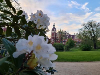 Frühling am Schloss