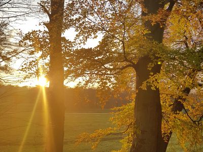 Herbst im Park