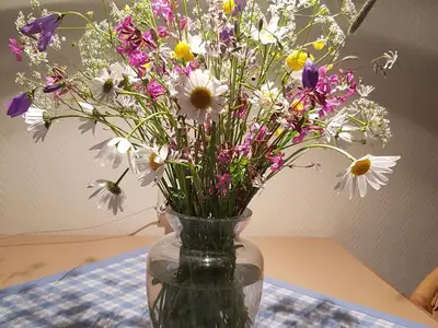 Ferienwohnung für 3 Personen (45 m²) in Bad Muskau 8/10