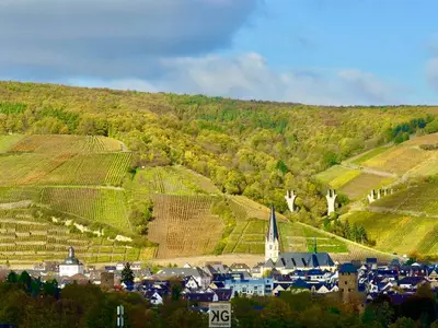 Ferienwohnung für 6 Personen (103 m²) in Bad Neuenahr-Ahrweiler 5/10