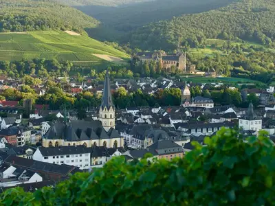 Ferienwohnung für 6 Personen (103 m²) in Bad Neuenahr-Ahrweiler 7/10