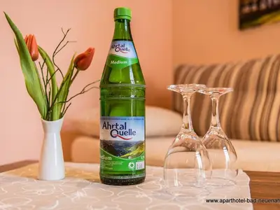 Ferienwohnung für 1 Person (14 m²) in Bad Neuenahr-Ahrweiler 10/10