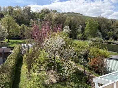 Ferienwohnung für 2 Personen (59 m²) in Bad Neuenahr-Ahrweiler 5/10