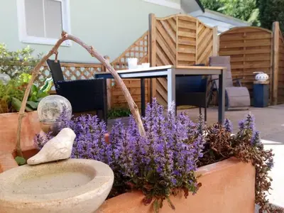 Ferienwohnung für 2 Personen (75 m²) in Bad Neuenahr-Ahrweiler 7/10