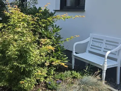 SchattenplatzHauswand24