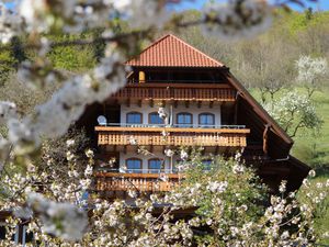 Ferienwohnung für 3 Personen in Bad Peterstal-Griesbach