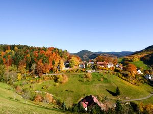 19075030-Ferienwohnung-3-Bad Peterstal-Griesbach-300x225-0