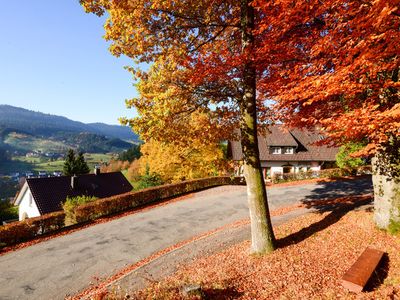 Ferienwohnung für 3 Personen (65 m²) in Bad Peterstal-Griesbach 4/10