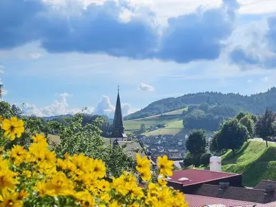 Ferienwohnung für 2 Personen (43 m²) in Bad Peterstal-Griesbach 1/10