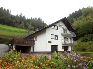 19341579-Ferienwohnung-6-Bad Peterstal-Griesbach-300x225-1