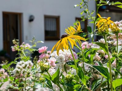 Gästehaus Resi - Natur pur!