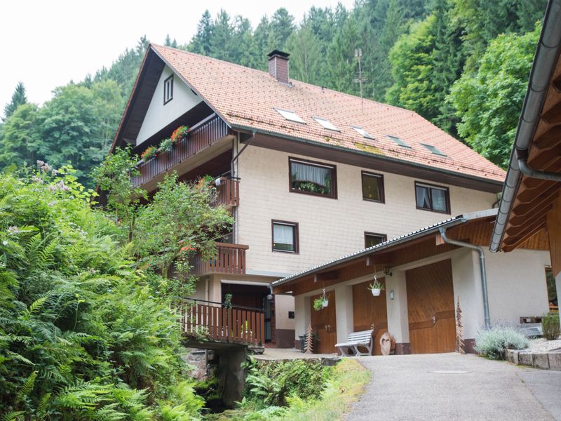 22774439-Ferienwohnung-4-Bad Peterstal-Griesbach-800x600-0