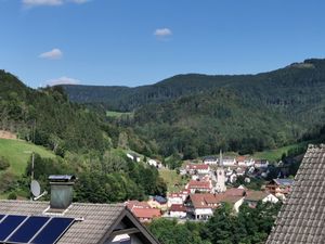 Ferienwohnung für 4 Personen (44 m²) in Bad Peterstal-Griesbach