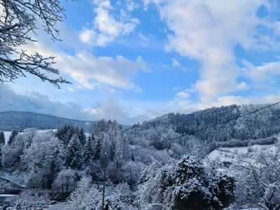 Ausblick Umgebung