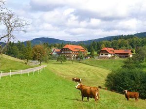 19249957-Ferienwohnung-3-Bad Peterstal-Griesbach-300x225-0