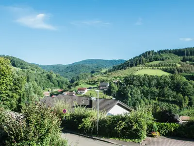 Ferienwohnung für 4 Personen (90 m²) in Bad Peterstal-Griesbach 2/7