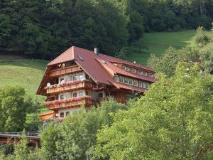 19195131-Ferienwohnung-4-Bad Peterstal-Griesbach-300x225-3