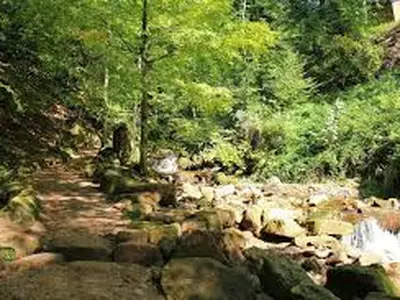 Wandern im Schwarzwald