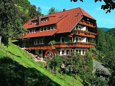 Ehrenmättlehof
