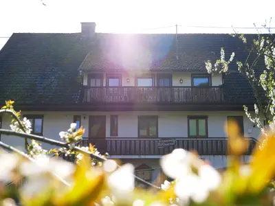 Ferienwohnung für 5 Personen (65 m²) in Bad Peterstal-Griesbach 1/10