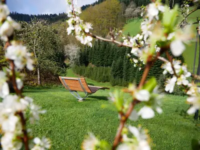 Ferienwohnung für 5 Personen (65 m²) in Bad Peterstal-Griesbach 2/10