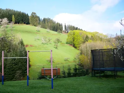 Ferienwohnung für 5 Personen (65 m²) in Bad Peterstal-Griesbach 6/10