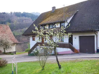 Ferienwohnung für 5 Personen (65 m²) in Bad Peterstal-Griesbach 7/10