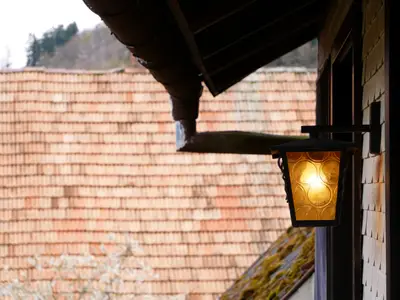 Ferienwohnung für 4 Personen (60 m²) in Bad Peterstal-Griesbach 5/10