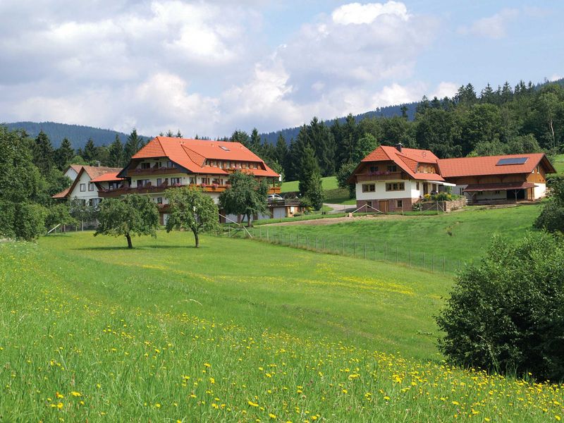 19249957-Ferienwohnung-3-Bad Peterstal-Griesbach-800x600-1