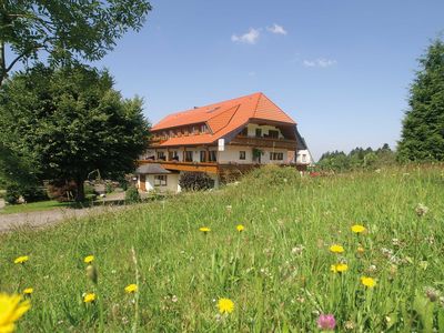 Ferienwohnung für 3 Personen (57 m²) in Bad Peterstal-Griesbach 3/10