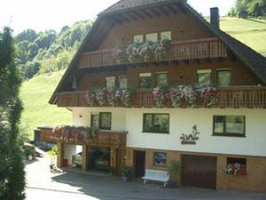 Ferienwohnung für 4 Personen (55 m&sup2;) in Bad Peterstal-Griesbach