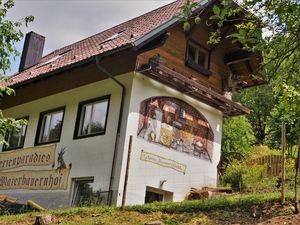 22774523-Ferienwohnung-3-Bad Peterstal-Griesbach-300x225-3