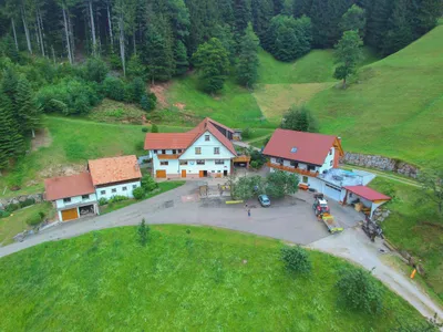 Ferienwohnung für 3 Personen (40 m²) in Bad Peterstal-Griesbach 4/10
