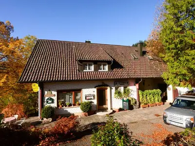 Ferienwohnung für 3 Personen (65 m²) in Bad Peterstal-Griesbach 2/10
