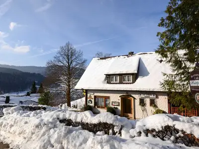 Ferienwohnung für 3 Personen (65 m²) in Bad Peterstal-Griesbach 2/10