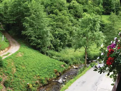 view-from-room