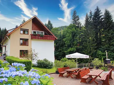 Ferienwohnung für 4 Personen (73 m²) in Bad Peterstal-Griesbach 2/10