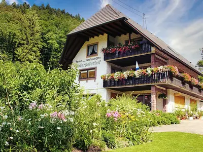 Ferienwohnung für 4 Personen (73 m²) in Bad Peterstal-Griesbach 3/10