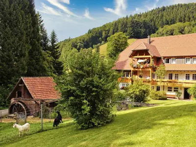 Ferienwohnung für 4 Personen (73 m²) in Bad Peterstal-Griesbach 5/10