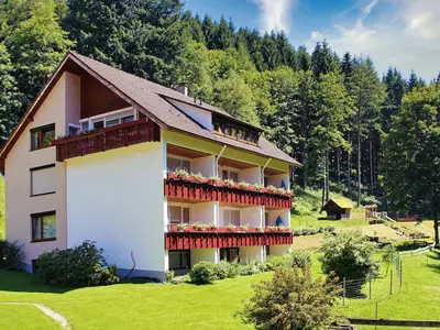 Ferienwohnung für 4 Personen (73 m²) in Bad Peterstal-Griesbach 6/10