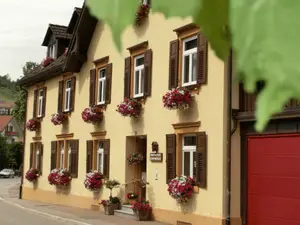 Ferienwohnung für 4 Personen (110 m²) in Bad Peterstal-Griesbach