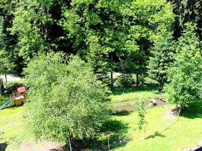 Ferienwohnung für 4 Personen (48 m²) in Bad Peterstal-Griesbach 5/10