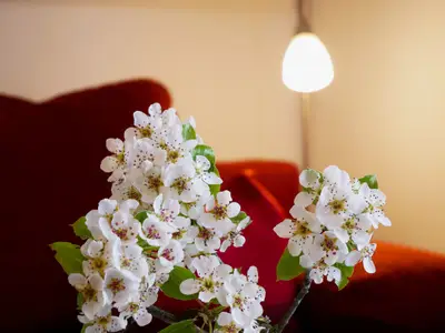 Ferienwohnung für 5 Personen (65 m²) in Bad Peterstal-Griesbach 3/10