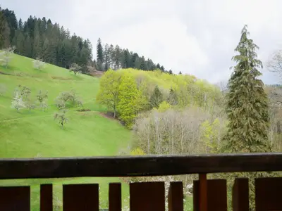 Ferienwohnung für 5 Personen (65 m²) in Bad Peterstal-Griesbach 6/10