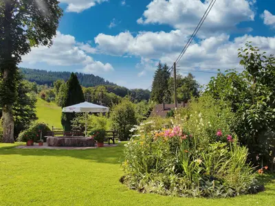 Ferienwohnung für 4 Personen (60 m²) in Bad Peterstal-Griesbach 1/10